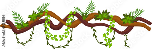 Exotic flora border. Jungle botany decorative element