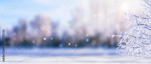 Εκτύπωση καμβά sow cover in foreground isolated on blurred frozen lake landscape background, wi