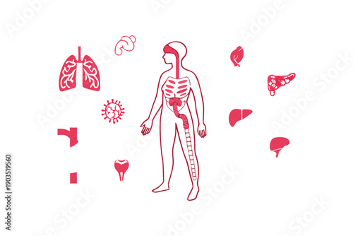 Human Organ System Virus Infection Medical Infographic Illustration