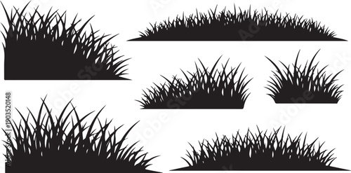 Black silhouettes of various grass types on white background