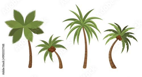 Set of four vibrant cartoon palm trees with varied green fronds brown textured trunks and some bearing coconuts in a tropical vector style.