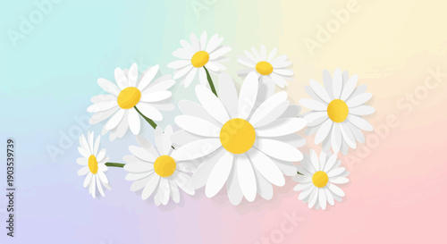 White daisies with yellow centers bloom against a soft pastel gradient background