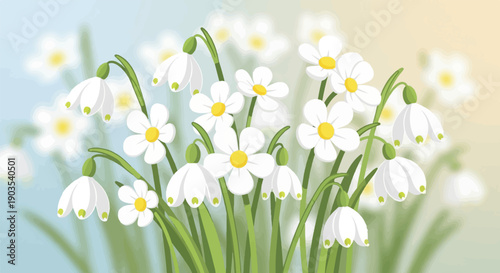 White spring flowers with yellow centers bloom against soft pastel background