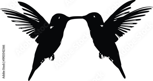 Silhouette of two hummingbirds facing each other in mid air