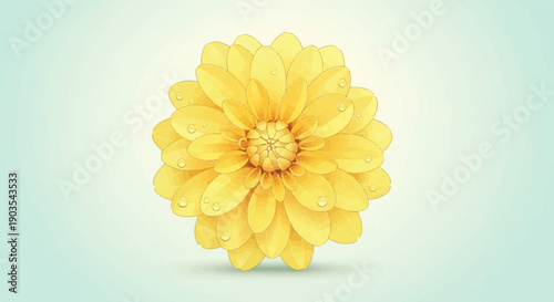 Vibrant yellow flower with delicate water droplets on its petals