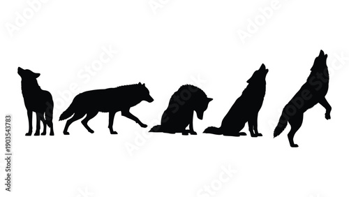Silhouettes of various canines including dogs and wolves in different poses Vector