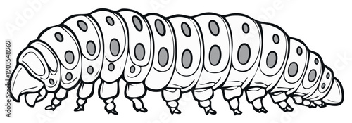 Cartoon caterpillar with many legs and gray spots on its segmented body in a linear drawing