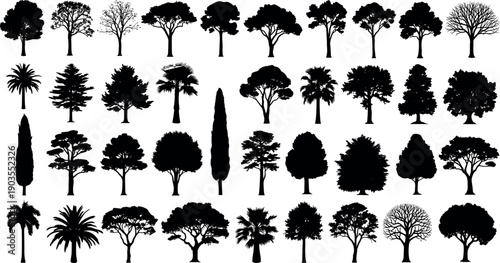 Large tree silhouette collection featuring palm, evergreen and deciduous species in bold black style, diverse botanical landscape elements for urban planning, maps and vector design projects