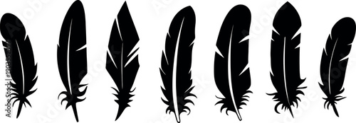 Vintage black and white vector illustration set featuring the elegant silhouettes of a fluffy bird plume quill and a classic writing pencil as artistic ink symbols for calligraphy design