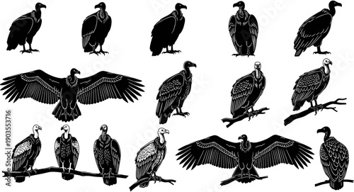 Vulture and condor silhouette collection featuring scavenger birds perched on branches and flying with wings spread, wild predator bird icon set.