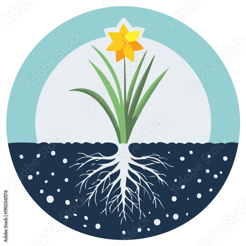 Bright yellow daffodil flower growing with root system shown, earth and sky environment flat vector illustration