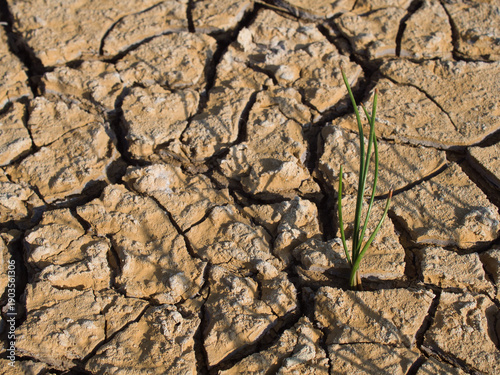 Summer environment, the soil is dry and cracked, revealing debris such as twigs, trees, and other items buried in the soil.