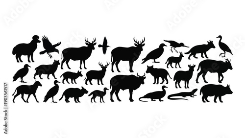 A diverse collection of black silhouettes of various animals standing together Vector