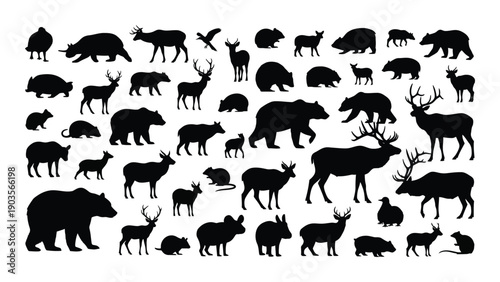 A diverse collection of various bear species in black and white silhouette Vector