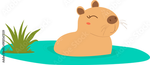 Cute capybara swimming in the water near green grass. Friendly south american rodent character in a cartoon style. Wildlife illustration for children