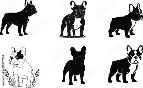 French bulldog breed illustrations in black and white