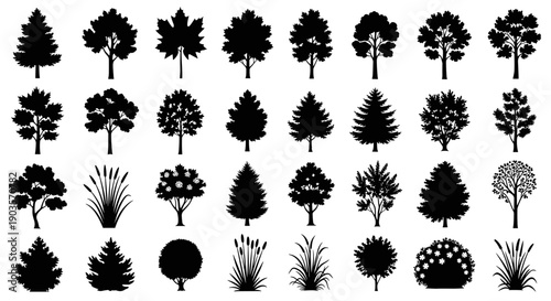 Conceptual collection of diverse tree, shrub, and plant silhouettes, offering a broad range of botanical forms and natural shapes for various design projects and landscape illustrations