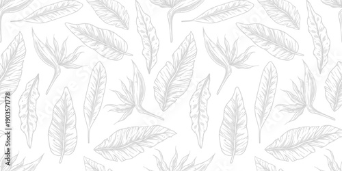Tropical exotic leaves or plant seamless pattern for summer background and beach wallpaper