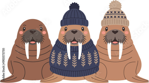 Cute Winter Walrus Outline Illustration Set Cozy Sweaters, Hats, and Arctic Fun