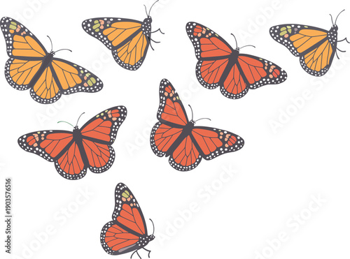 Six Monarch Butterflies in Orange and Black monarch butterfly