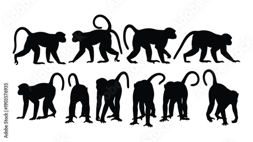 A group of ten black silhouettes of monkeys walking in a row. Vector
