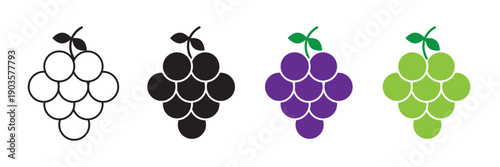 Grapes icon in filled, thin line, stroke style for website and apps