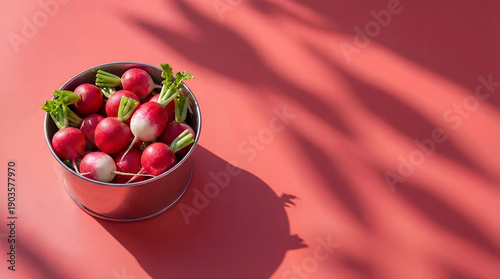 This image showcases a vibrant arrangement of fresh radishes in a metal bucket against a striking red background, emphasizing the freshness and natural beauty of the vegetables.