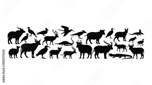 A diverse collection of various animals in silhouette form Vector
