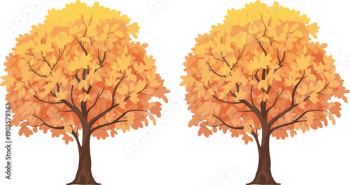 Autumn deciduous trees, colorful foliage, seasonal change, yellow orange red leaves, fall nature design, vibrant illustration, environmental theme, cad drawing flat vector illustration