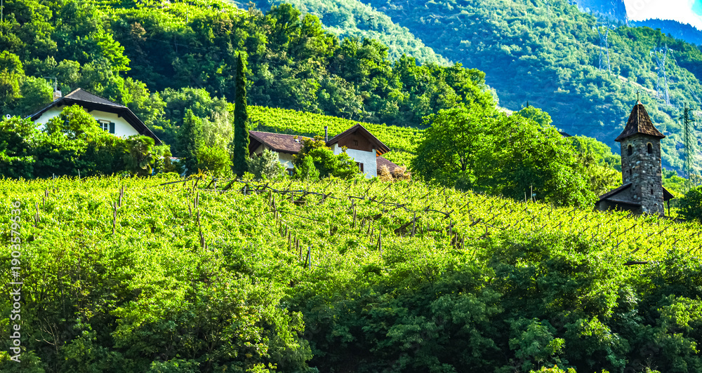 Obraz premium Agricultural landscape view of Trentino-South Tyrol, Italy