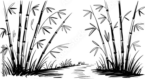 Black ink of bamboo stalks and leaves with a water stream white background