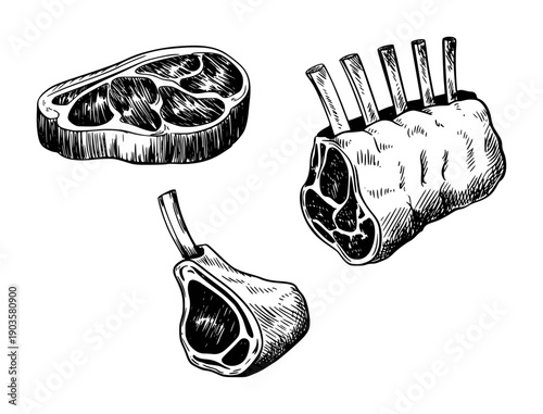 Hand Drawn Black and White of Raw Meat Cuts White Background beef lamb