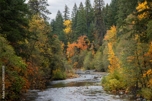 The Sacramento River near Castella and Dunsmuir California on a rainy autumn day.