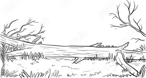 Hand Drawn of a Fallen Log Surrounded by Grass and Bare Branches a White Background