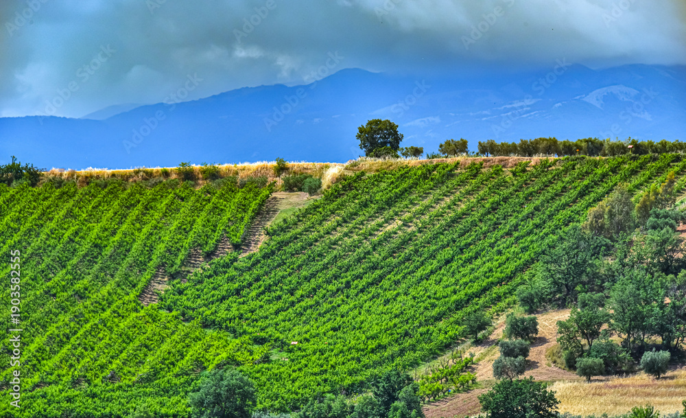 Fototapeta premium Agricultural landscape view of Calabria, Italy
