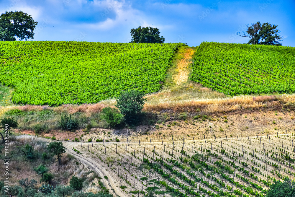Fototapeta premium Agricultural landscape view of Calabria, Italy