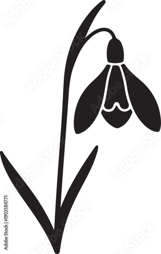 Simple illustration of a single snowdrop flower with stem and leaves isolated on transparent background