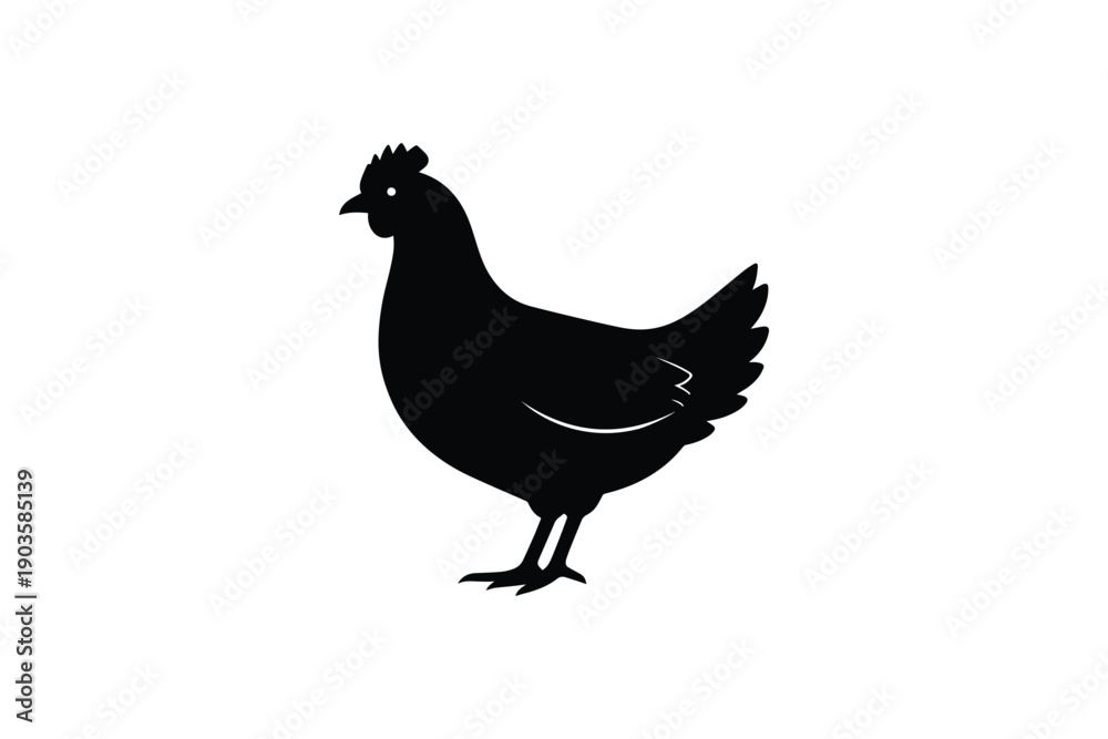 Fototapeta premium Black silhouette of hen standing on white background representing poultry farming and fresh livestock produce