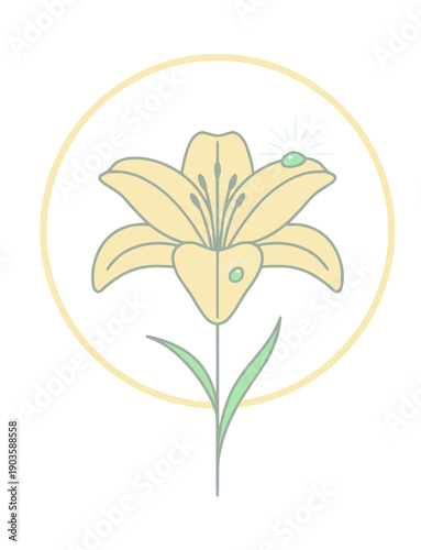 Dew-Kissed Lily in Golden Frame Illustration