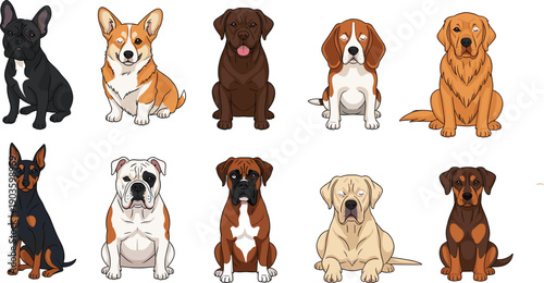 PrintLarge collection of various dog breed illustrations including a Golden Retriever, Corgi, and Bulldog, set in a colorful flat vector style isolated on whi