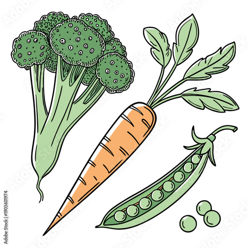 Assorted vegetables including broccoli, carrots, and peas.