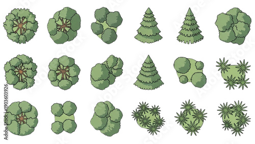 Collection of various green plants and trees illustrated from a direct viewpoint