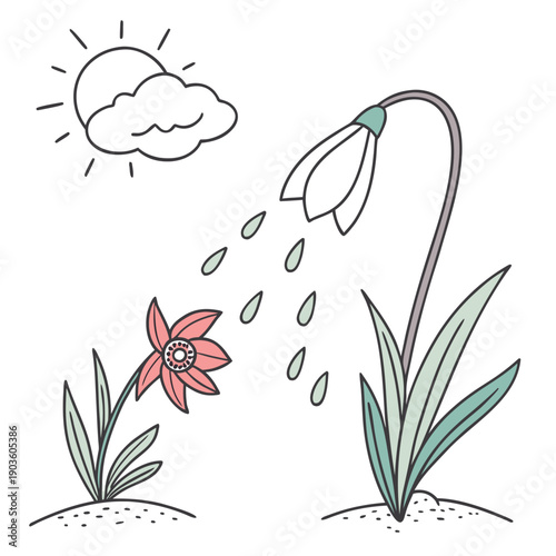 A whimsical illustration of plants growing under a raining cloud