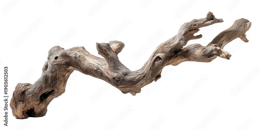 Fototapeta premium A beautifully weathered piece of driftwood, showcasing intricate textures and natural patterns ideal for organic design elements.
