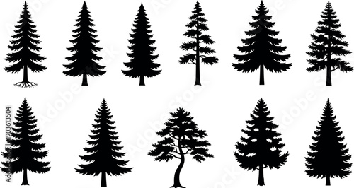 Black silhouette collection of realistic evergreen pine and fir trees in varied natural shapes for forest design
