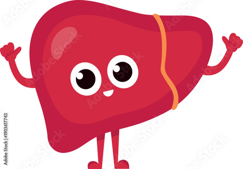 Happy face liver. Friendly organ positive expression