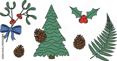 Christmas Winter Botanical Collection Featuring Pine Tree Pinecones Holly Berries Mistletoe with Blue Bow and Fern Leaf Vector Illustration Set