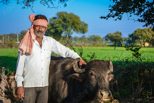 Foto Indian farmer standing with his buffalo