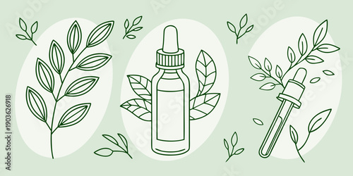 A serene arrangement of plants and gardening tools for a peaceful indoor garden setting.