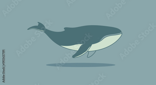 Illustration of a blue whale swimming underwater with a minimalist style.